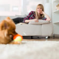 Are Pet Sitters in Nashville, TN Insured and Bonded? - A Comprehensive Guide