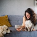 Finding the Perfect Pet Sitter in Nashville, TN