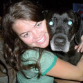 Do Pet Sitters in Nashville, TN Offer Dog Walking Services?
