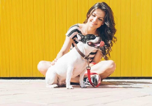 Discounts for Pet Sitting Services in Nashville, TN - Get the Best Deals Now!