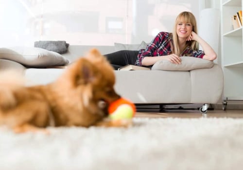 Are Pet Sitters in Nashville, TN Insured and Bonded? - A Comprehensive Guide