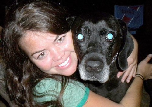 Do Pet Sitters in Nashville, TN Offer Dog Walking Services?